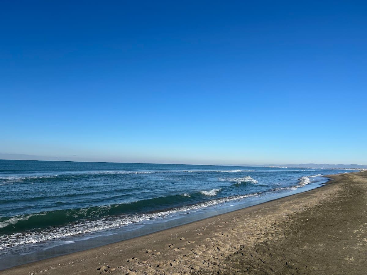 Spiaggia libera di Fregene photo