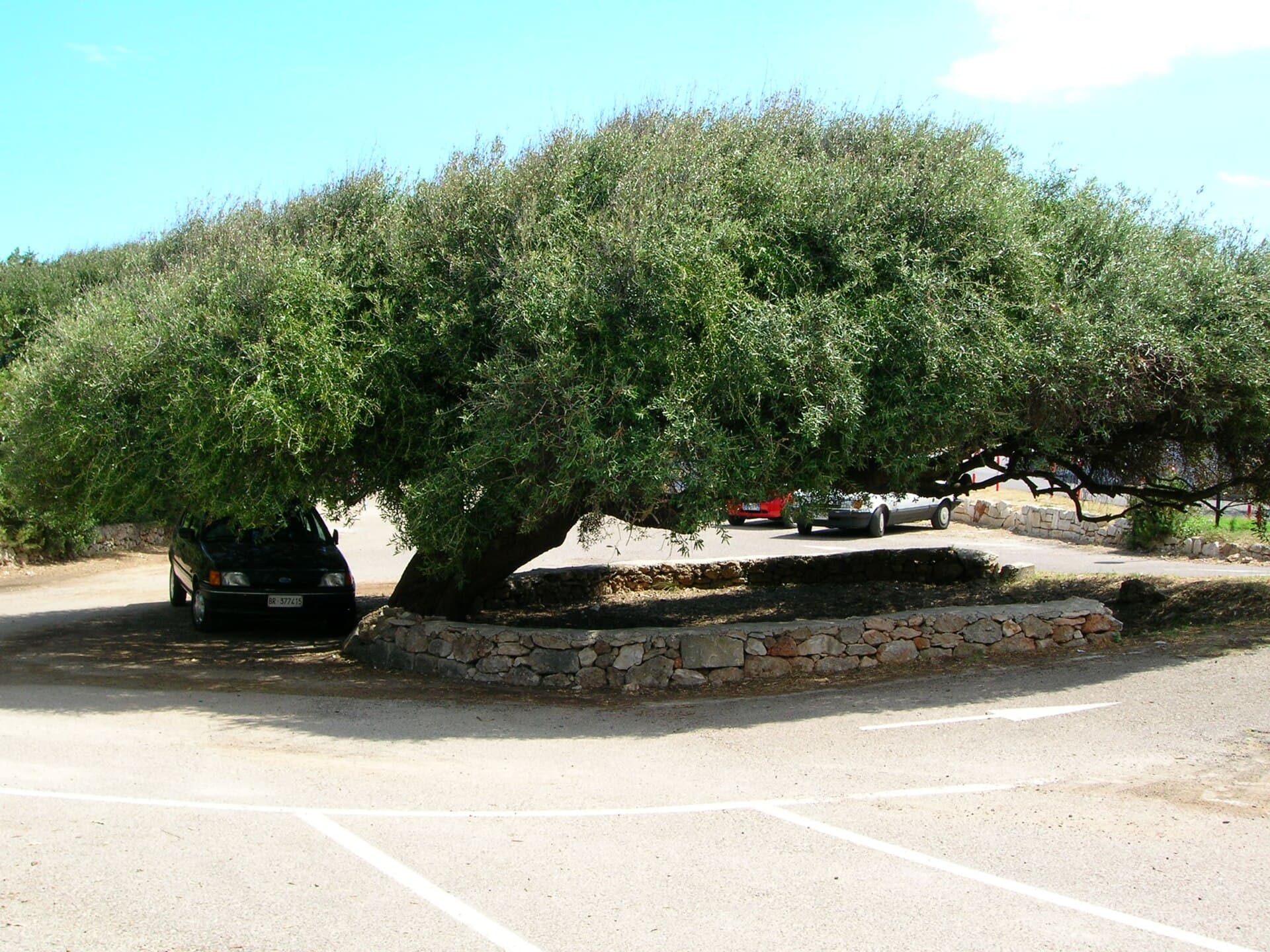 Spiaggia di Monticelli photo