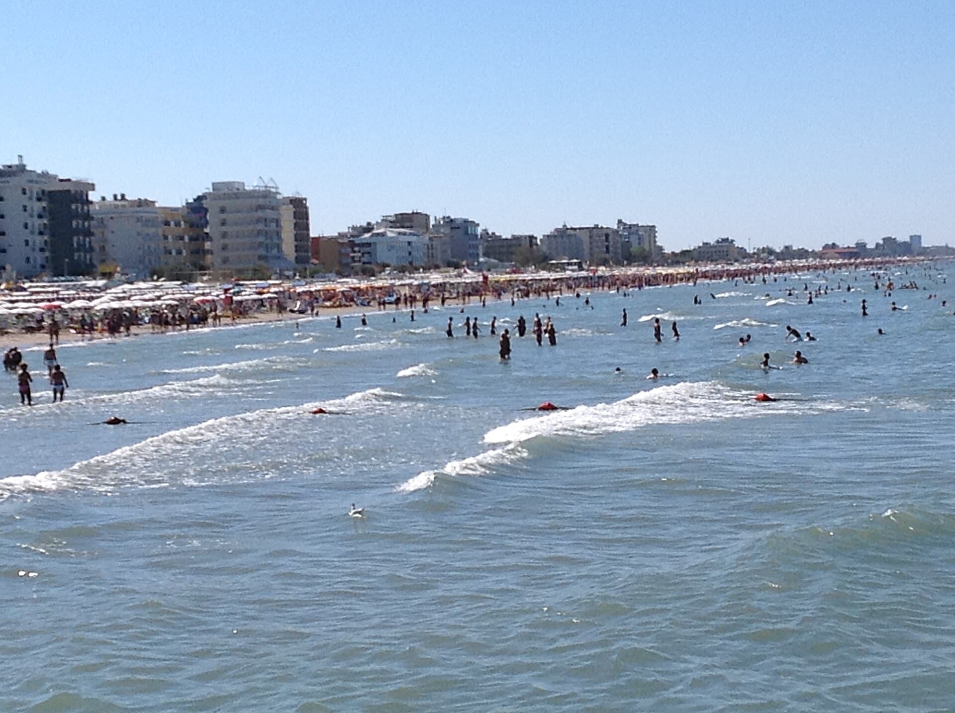 Savioli Spiaggia photo