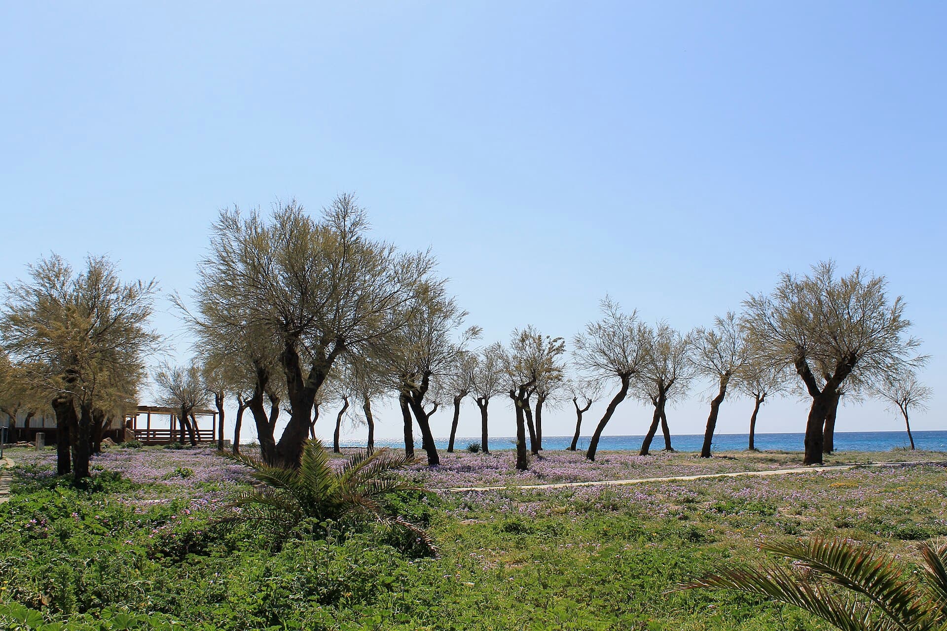 Isola Beach photo