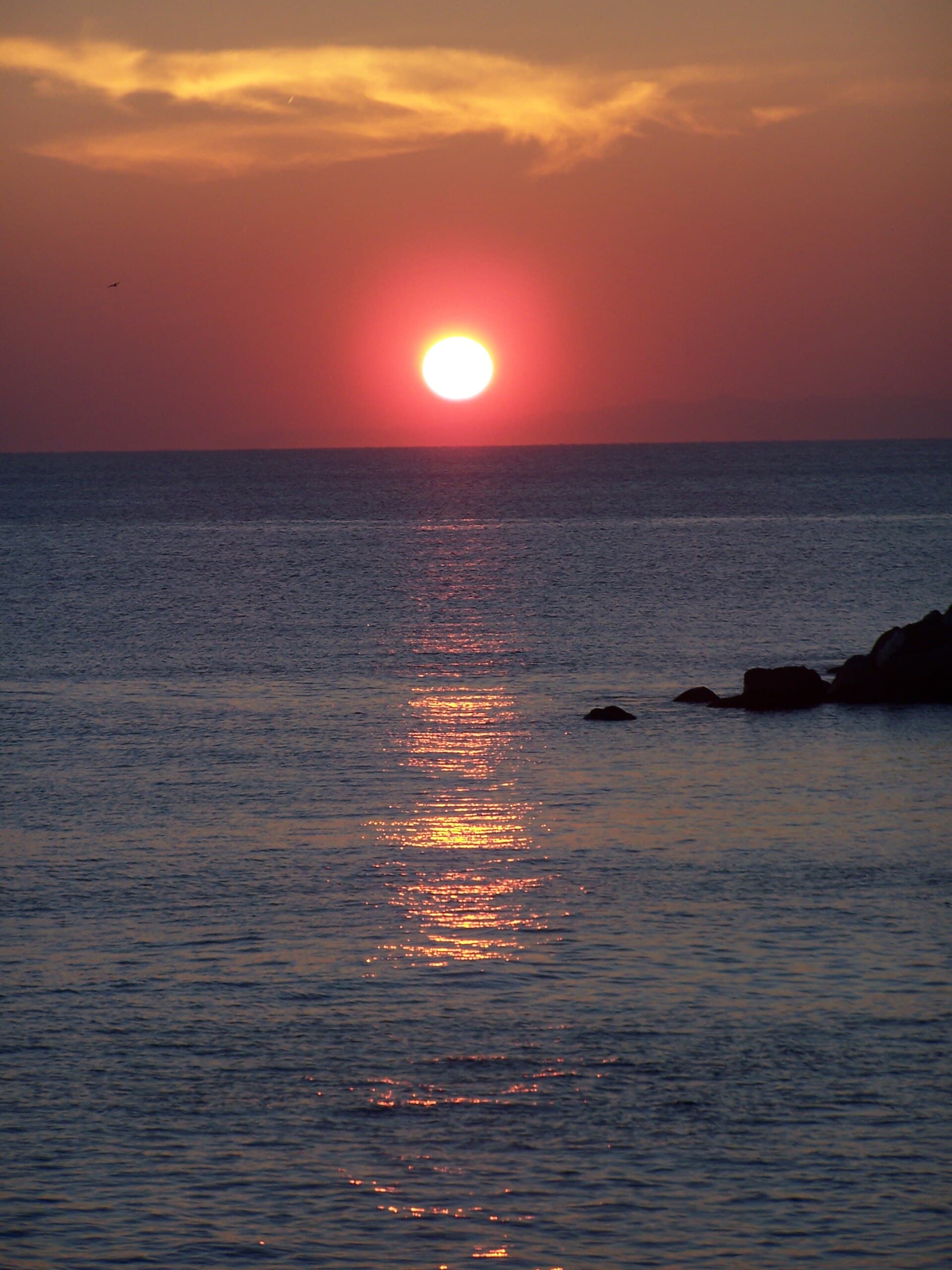 Italia 1 / Lido photo