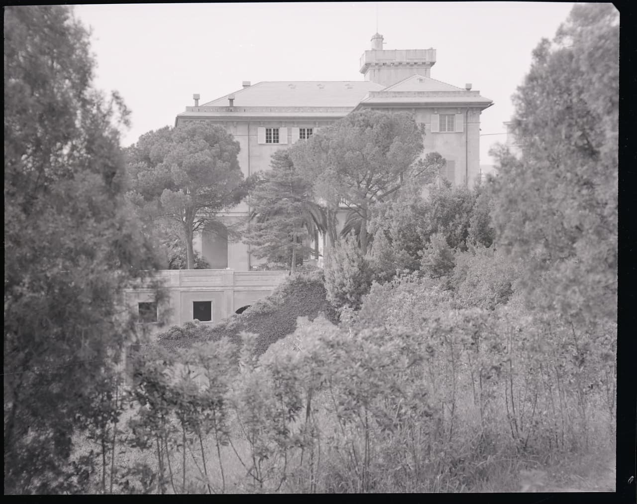 Farmacia Lido d'Albaro photo