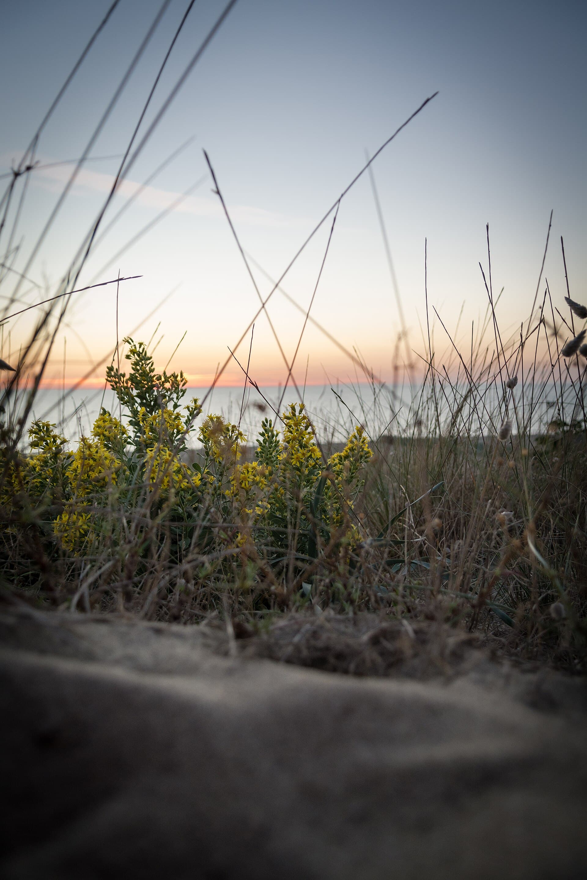 Photo de Bagno Tirrenia