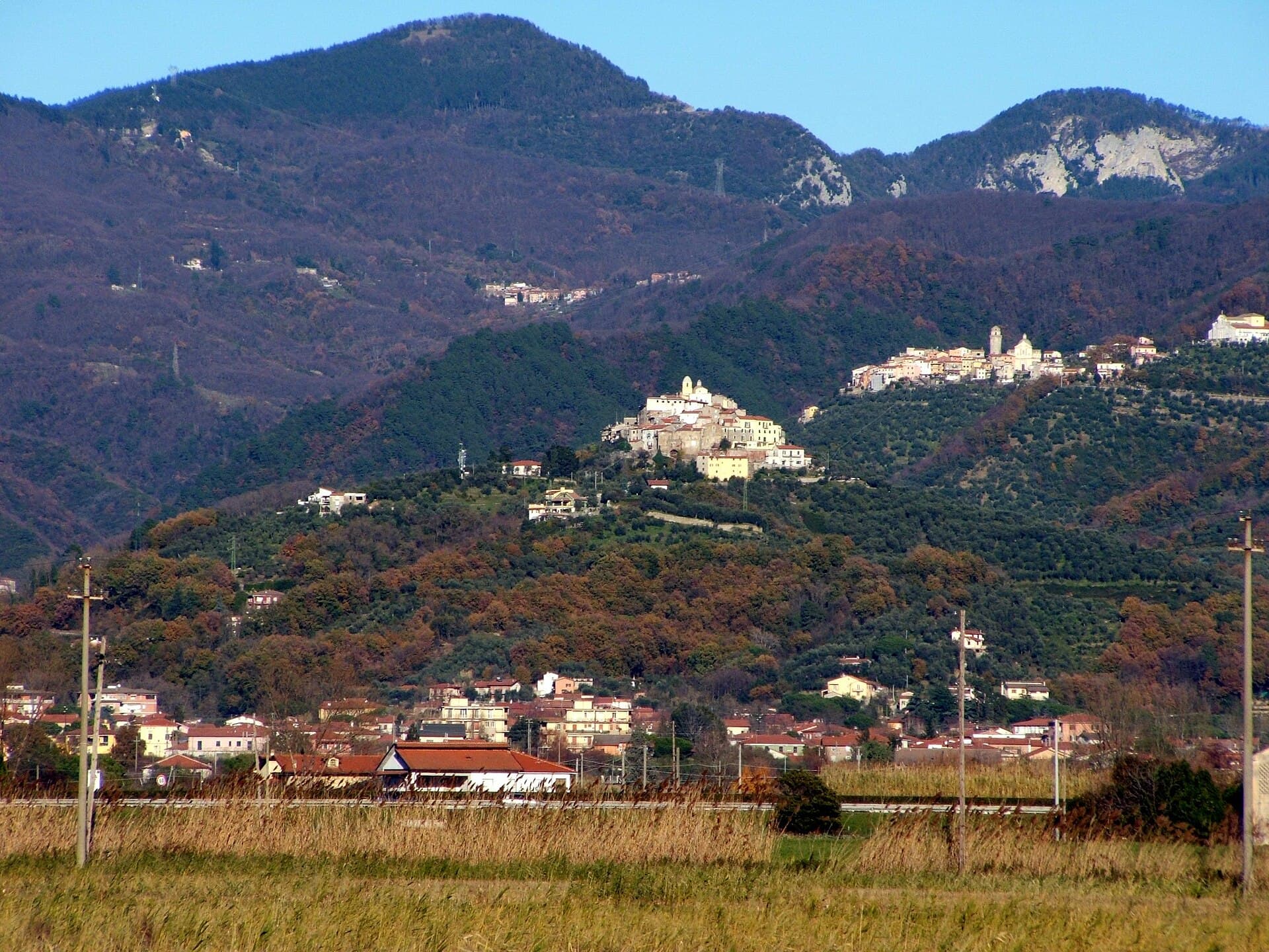 Bagno "Il Cavallino" photo