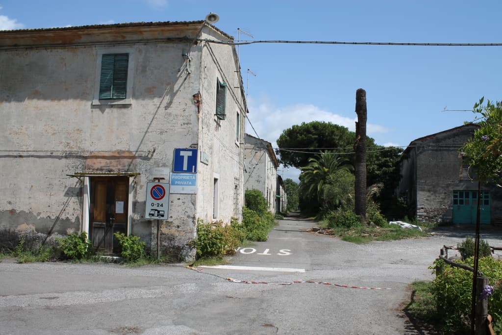 Bagno "Il Cavallino" photo