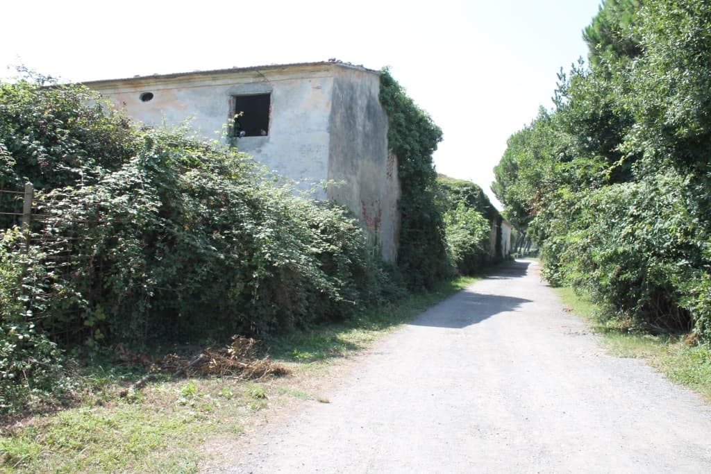 Bagno "La Goletta" photo
