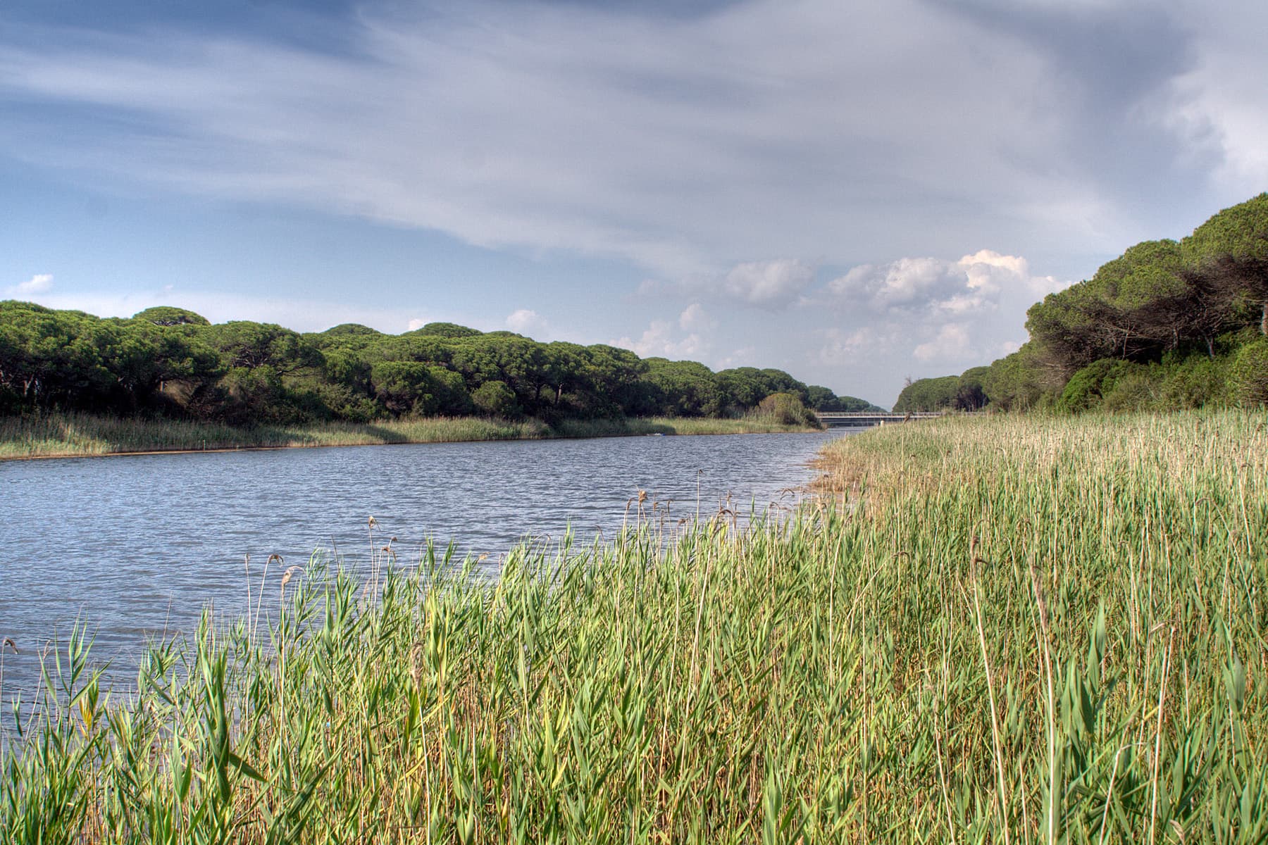 Photo de Bagno Rosmarina
