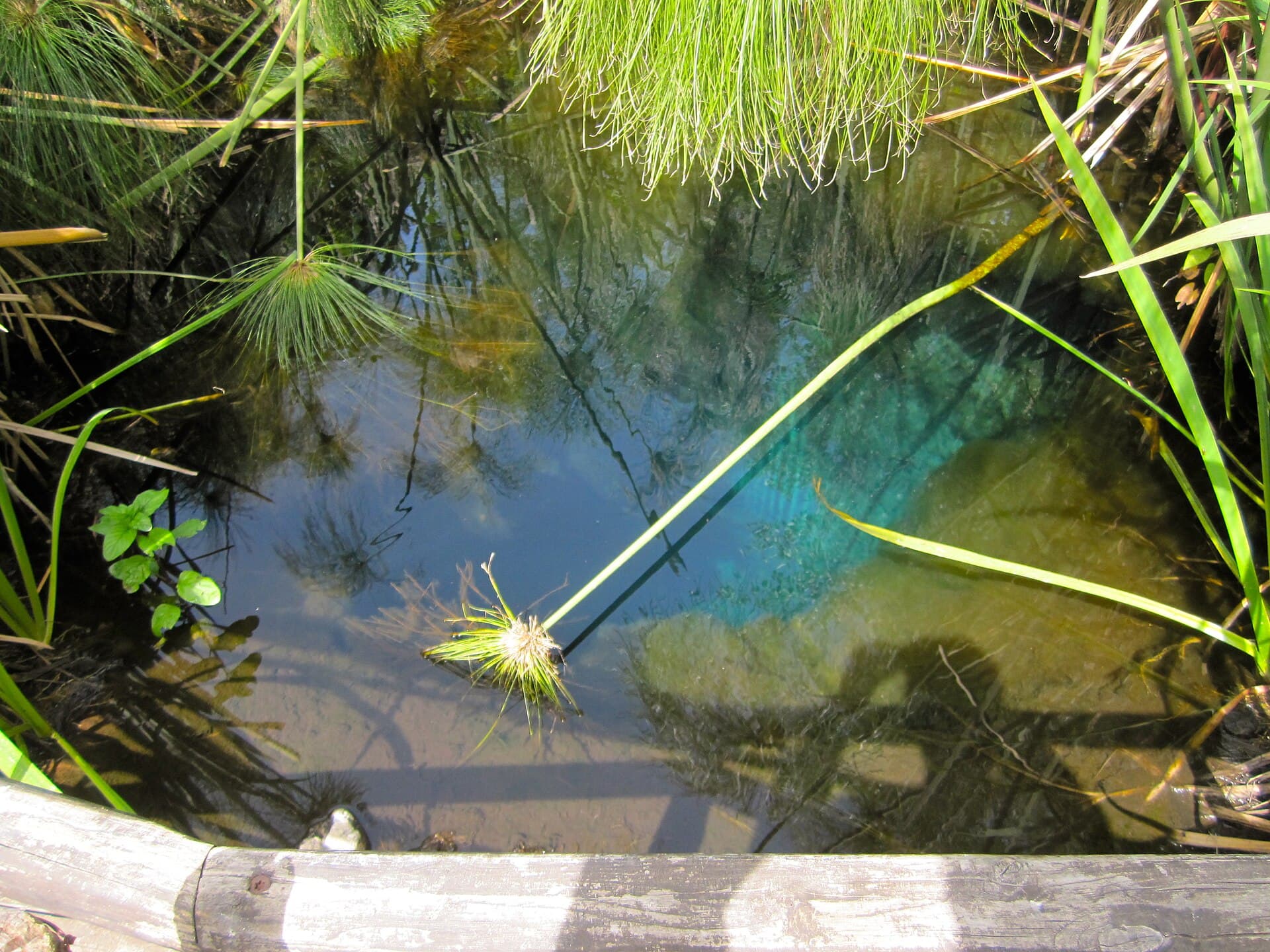 Photo de Lido Albachiara