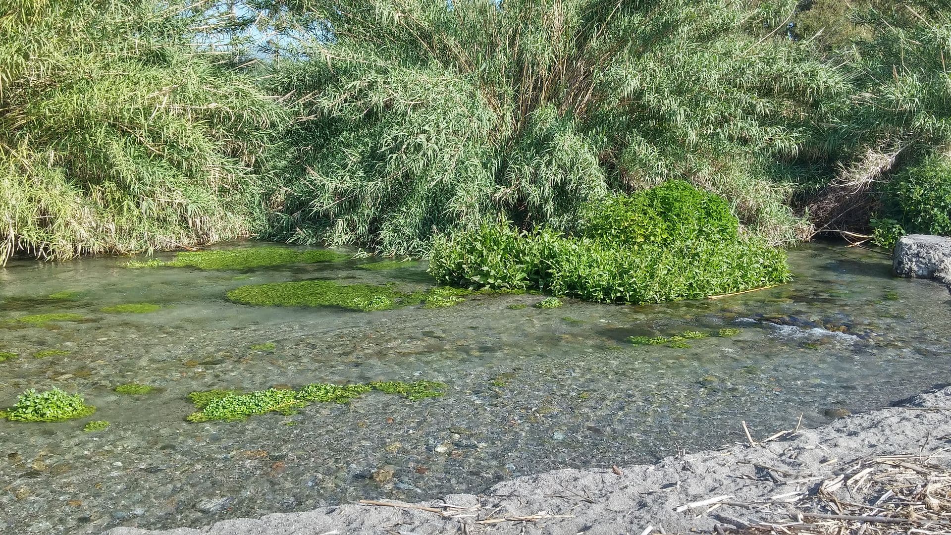 Photo de Lido Albachiara