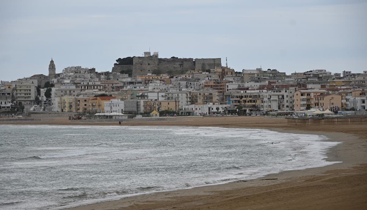La Bussola Beach Restaurant photo